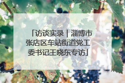 访谈实录｜淄博市张店区车站街道党工委书记王晓东专访